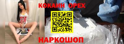 стафф Гай