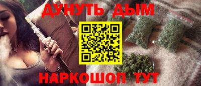 mdpv Гатчина