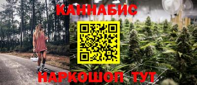 mdpv Гатчина