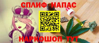 mdpv Гатчина