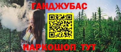 mdpv Гатчина